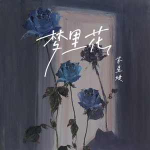 在线播放免费人成看黄
